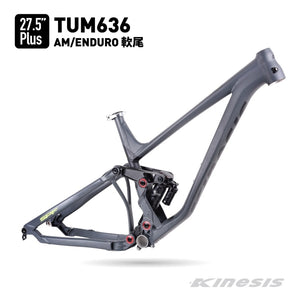 Enduro best sale mtb frame